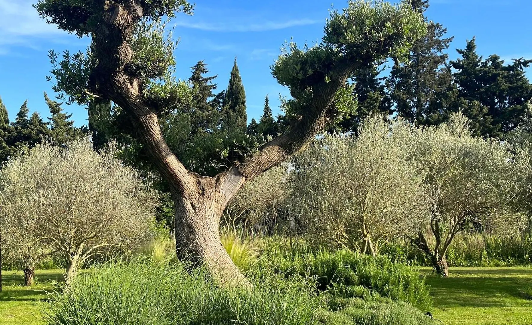Hotel Mas De Nonin St Remy De Provence Noves 0*,