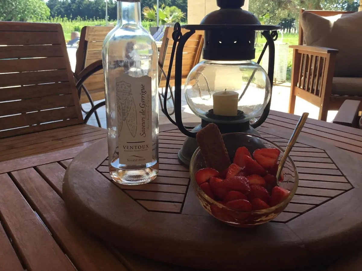 Mas De Nonin St Remy De Provence Hotel Noves 0*,